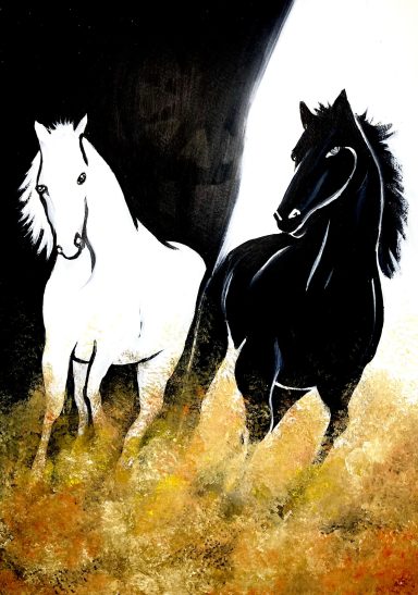 White and black horse running side by side, kicking up earth and dust in haste